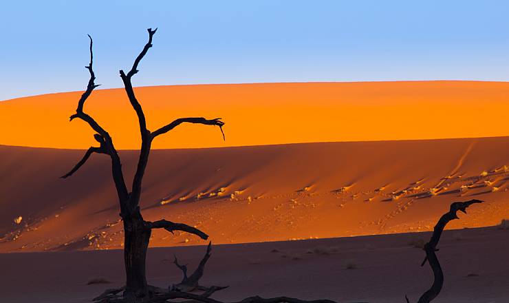 rken, Floder og Wildlife Adventure