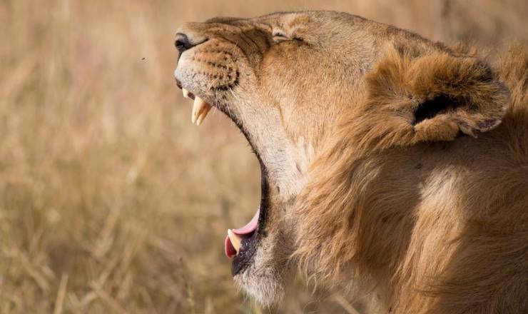 Ferie For Alle - Vinderen af gavekort p� kr. 10.000 p� indgangsbilletten er udtrukket