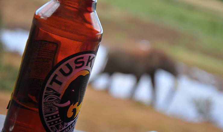 Hvordan kan drikkevarer nydes p safari?