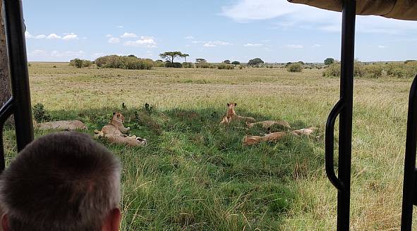 Den bedste safarirejse – TIPS