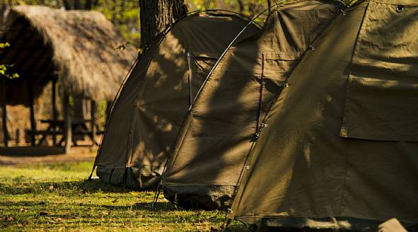 Telt & safari i Afrika